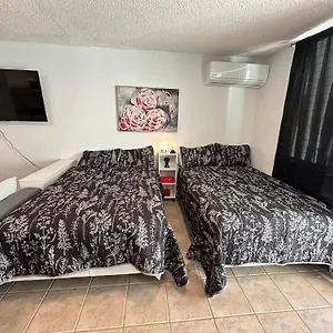 Beachfront W/ Full Kitchen & Pool Apartment